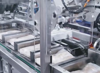 01-Tisma-TT-60-Cartoning-Bags