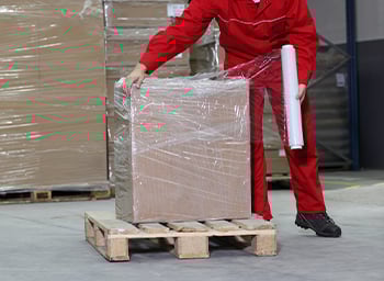 Audit Packaging Process-sub1