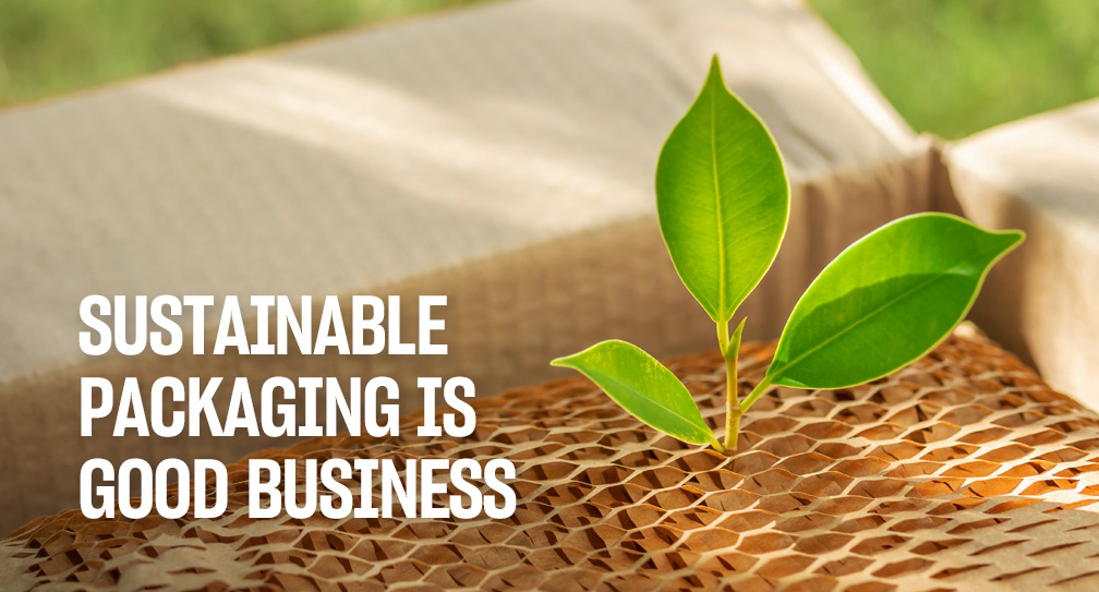 Sustainable-Packaging-Business_20260106095149